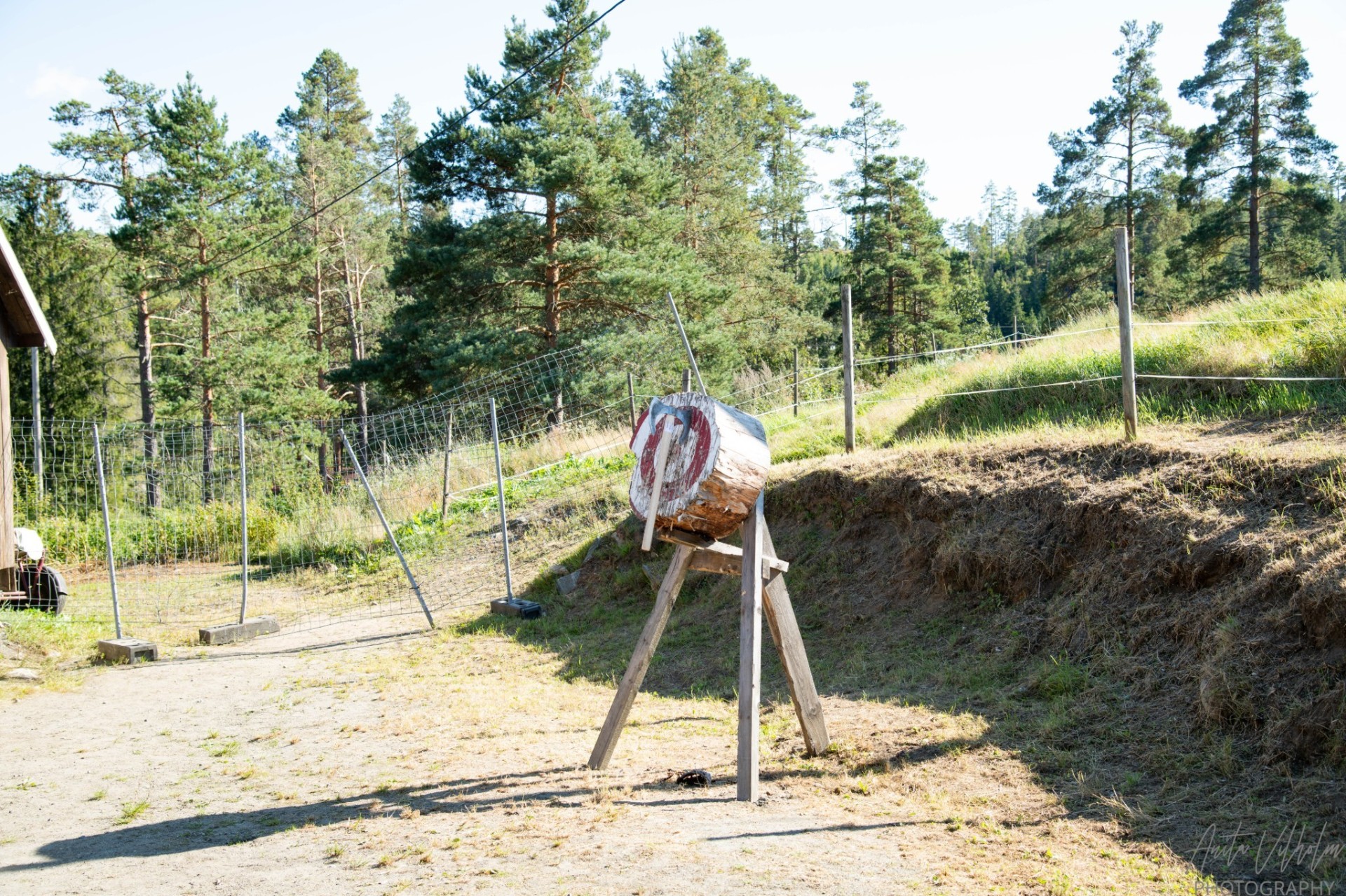 Øksekast-blink foran skog og blå himmel